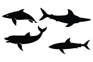 Silhouette of two dolphins and two sharks swimming