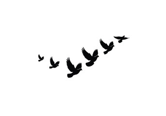 A flock of seven birds, rendered in black silhouette, is flying in a diagonal formation against a stark white background.