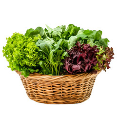 Naklejka premium Fresh green salad ingredients kitchen food photography bright white background close-up healthy living
