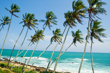 Tropical beach in Sri Lanka