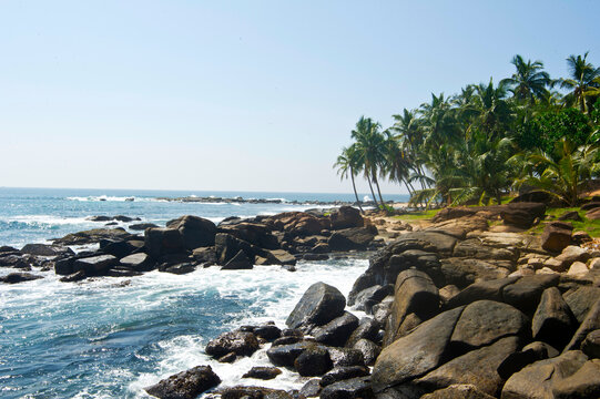 tropical beach with palm trees in sri lanka