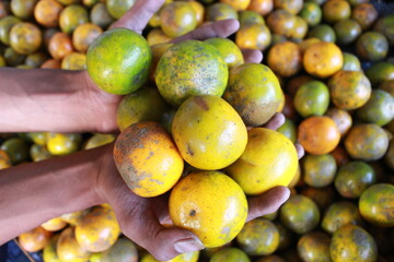fresh local orange on the market
