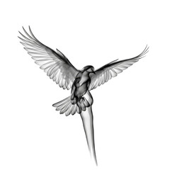 A silhouette of a bird in flight with outstretched wings. The image has a transparent background, making it suitable for various design applications.