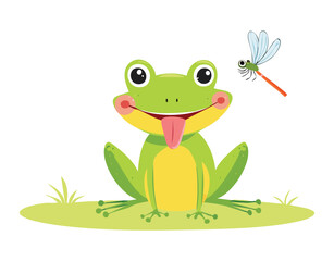  Cute Frog Character With A Dragonfly Illustration