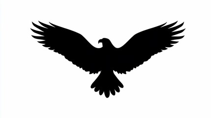 Obraz premium Silhouette of a bird with outstretched wings