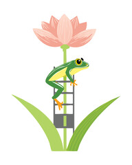 Happy Frog Climbing a Ladder Reaching for a Pink Lotus