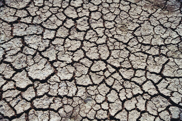 water scarcity drought cracked earth 