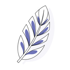 feather vector illustration