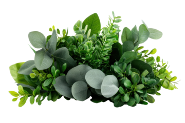 Vibrant cluster of lush green foliage featuring various eucalyptus shrubs and other leafy plants, creating fresh and natural aesthetic. This arrangement evokes sense of tranquility and harmony
