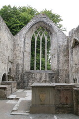 Naklejka premium parc national de Killarney, ring of Kerry, Irlande