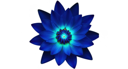 Vibrant electric blue flower glows with an ethereal light against a dark background