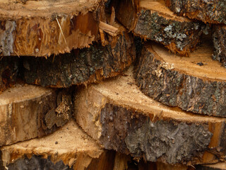 A detailed close-up of stacked firewood logs