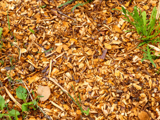 A detailed close-up of wood chips with green weeds