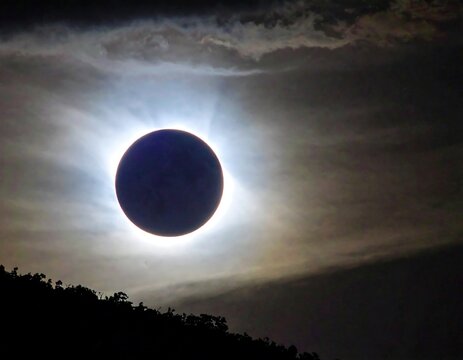 Total solar eclipse, dark silhouette of trees