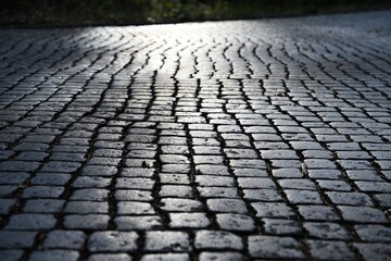 Close-up of a curved cobblestone pavement with wet, shiny stones reflecting natural light. A moody and textured surface ideal for backgrounds, architectural themes, or historic cityscape concepts.