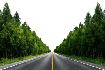 Straight asphalt road between green forest trees, isolated on transparent cutout background