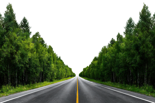 Straight asphalt road between green forest trees, isolated on transparent cutout background - Powered by Adobe