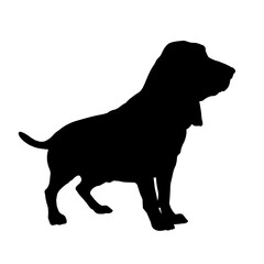 Basset hound silhouette, side view -  vector illustration