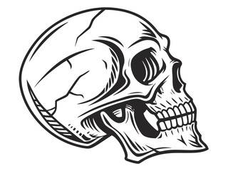 Detailed black and white skull graphic design with tribal-inspired embellishments.