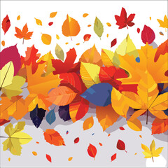 autumn leaves background