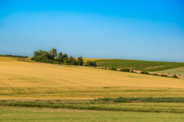 Obraz premium Countryside landscape with sky and fields, real life photo