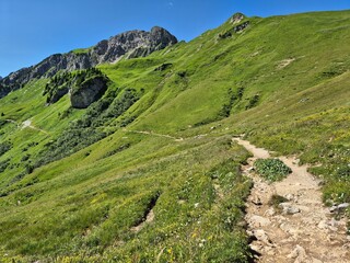 Wanderweg im Tannheimer Tal in Tirol (Allgäuer Alpen)