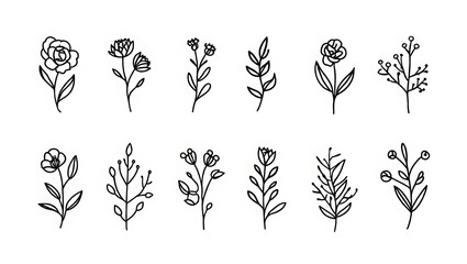 black and white flowers