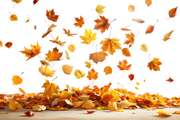 Autumn maple leaves falling and scattered on a wooden surface, isolated on transparent background, symbolizing the changing seasons and natural beauty