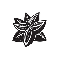 starfruit Vector (3).eps