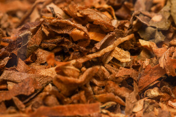 autumn leaves on the ground
