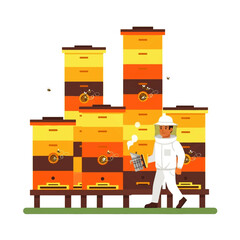 Beekeeper tending to multiple beehives, harvesting honey in a sunny apiary.