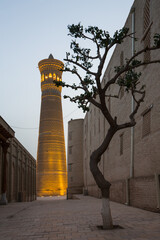 The Kalyan Minaret in Bukhara, Uzbekistan