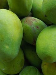 fresh green manggo 