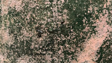 background abstract art texture luxury