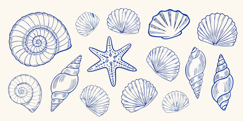 Collection of blue line art seashells and starfish