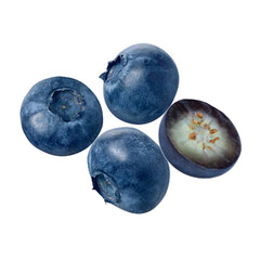 Blueberries in a Transparent Background