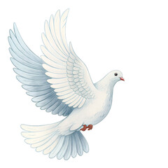 Obraz premium White dove flying peace bird illustration symbol of hope freedom and love isolated on black background