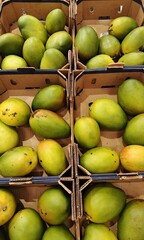 green apples in a basket
