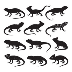  A black and white illustration featuring 12 black silhouettes of lizards White Background. 