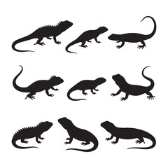  A black and white illustration featuring 12 black silhouettes of lizards White Background. 