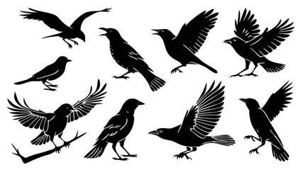 Obraz premium Black bird silhouettes vector illustration, raven, crow, flying birds, perched birds, bird art design