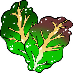 녹색 채소 상추 일러스트 요소