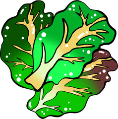 녹색 채소 상추 일러스트 요소