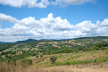 Naklejka premium landscape of tuscany with blue sky with clouds and hills and trees
