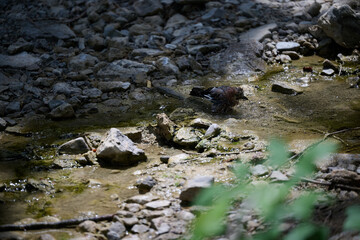 jay taking a bath at a thermal bath in italy