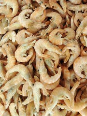 dried mushrooms background