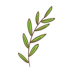 Leaves Free Icon