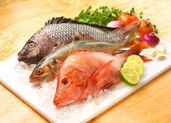 Fresh Fish, Fische, afrikanische Fische, Speisefische, Barsch, roter Knurrhahn, Ghana, Fischfang afrikanisches Essen, Fischsorten frisch auf weissem Schneidebrett Limetten Eis Gemuese.