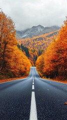 autumn road landscape in beautiful nature travel. autumn colors in mountain road scenery. autumn landscape on the highway in colorful forest. nature trip in fall. highway landscape on fall season.
