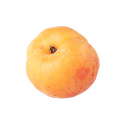 One fresh ripe apricot isolated on white